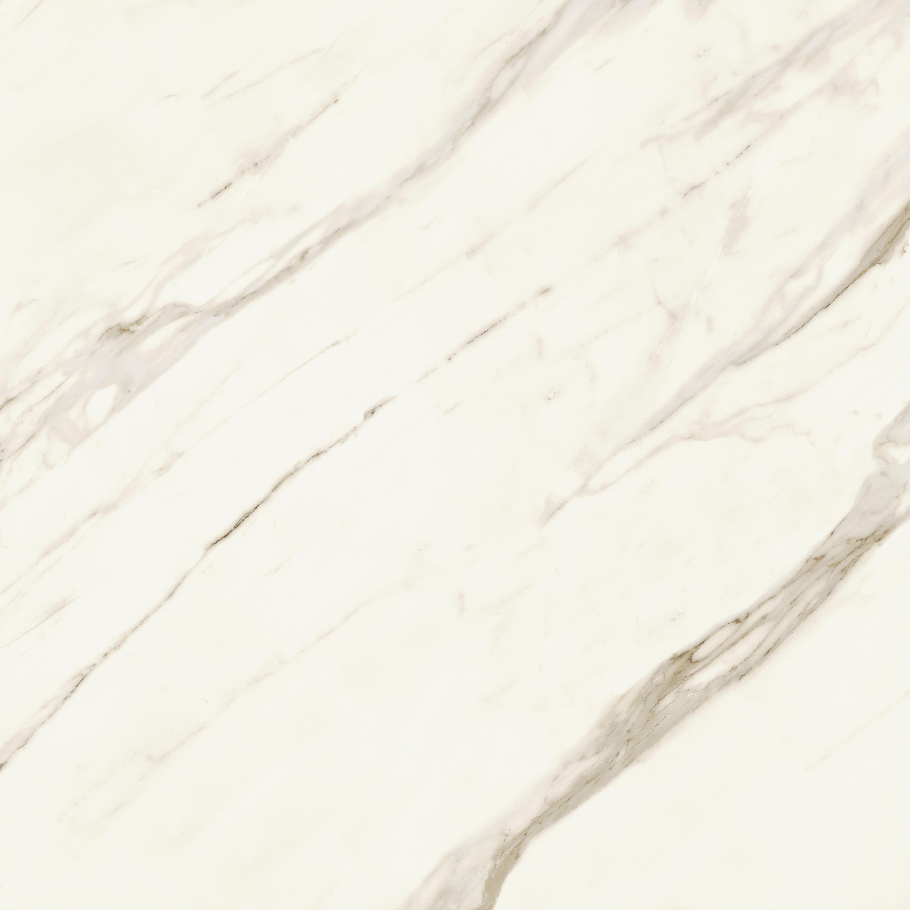 Marvel Meraviglia Calacatta Bernini 120×120 Velvet