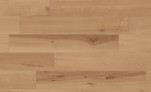 Log Cansei Fenice 18,5x150  