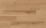 Log Cansei Fenice 18,5x150  