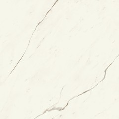 Marvel Calacatta Sublime 120x120 Silk
