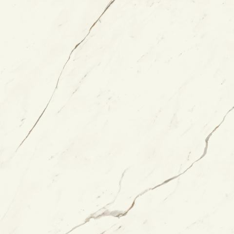 Marvel Calacatta Sublime 120x120 Silk
