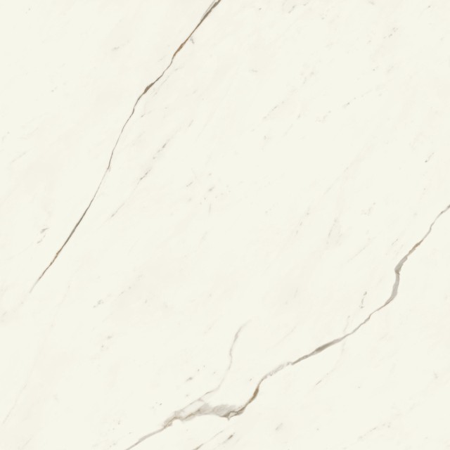 Marvel Calacatta Sublime 120x120 Silk