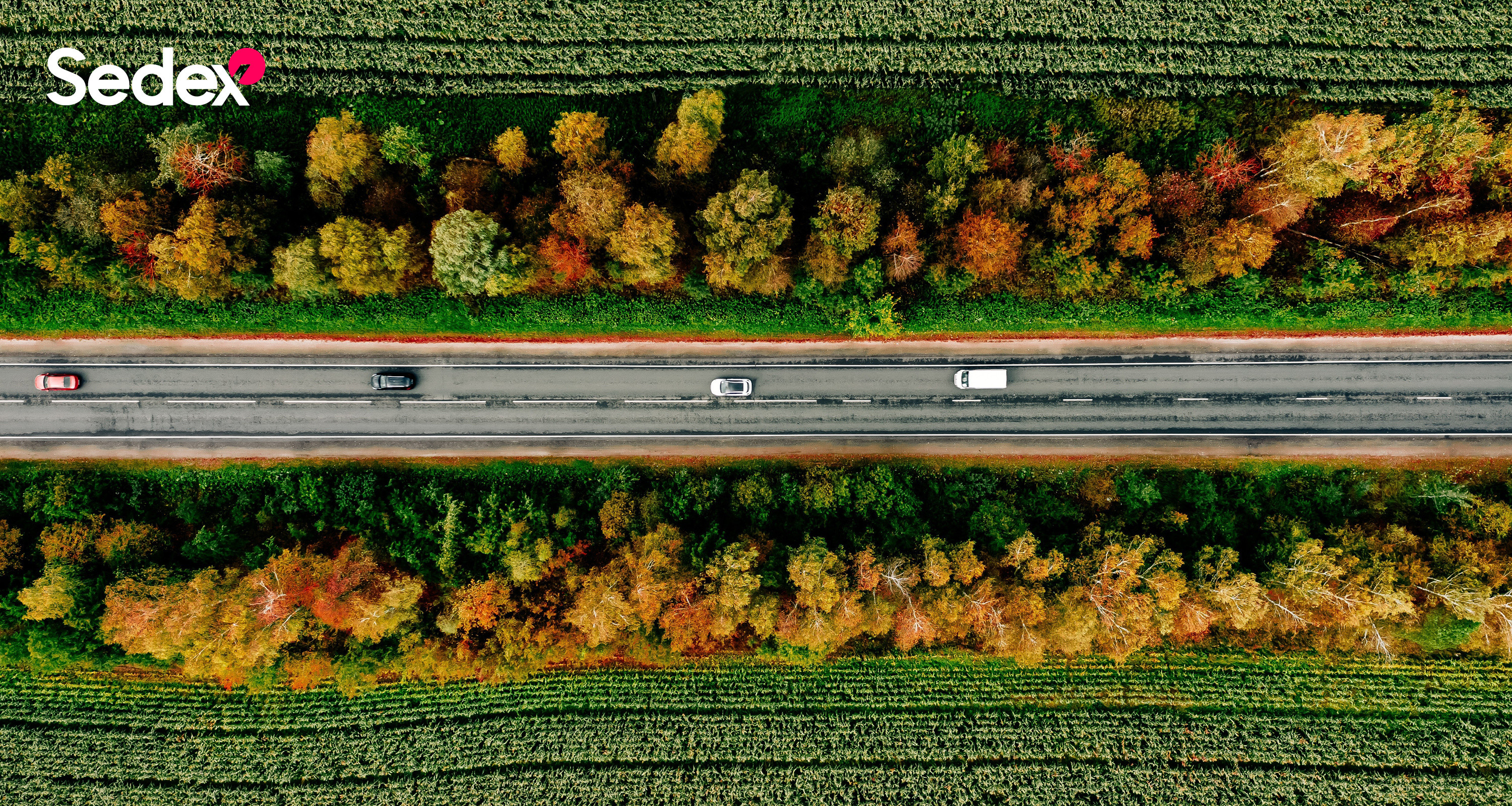 Sedex Member Aerial Photo 3