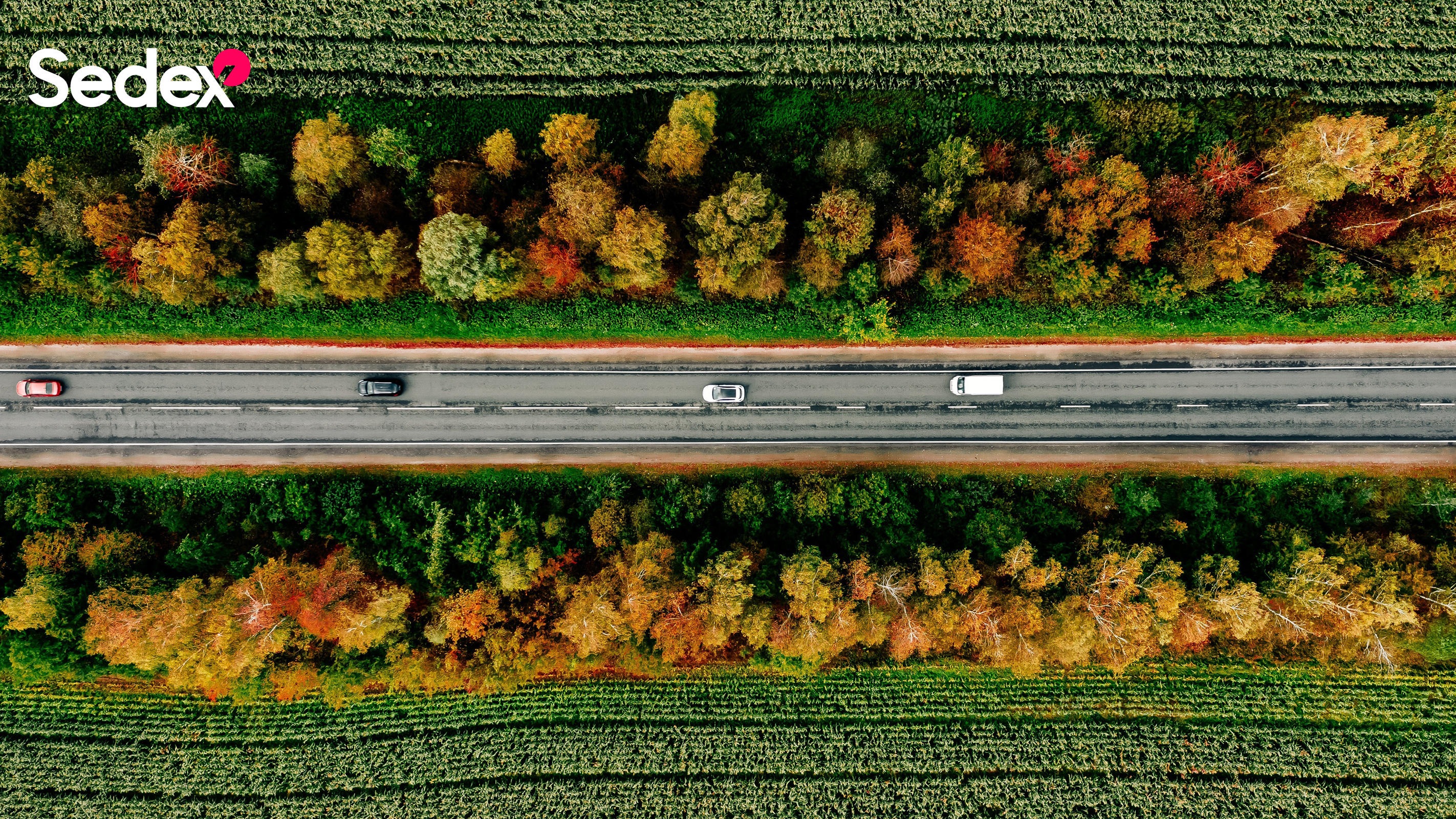 Sedex Member Aerial Photo 3