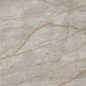 EMPIRE SILVER ROOT 60x60 