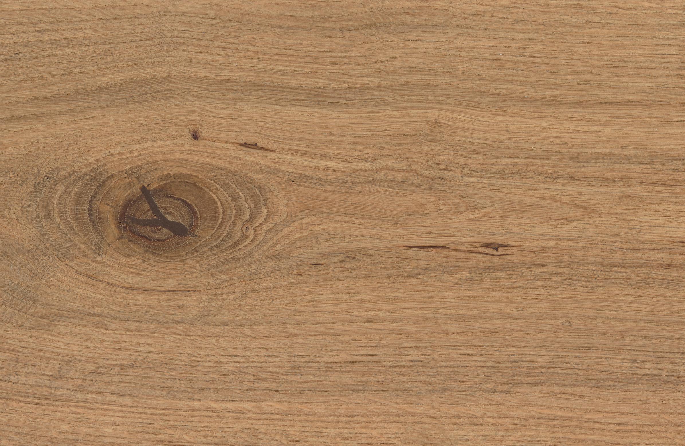 AtlasConcorde_LOG_DeepOak_Macro