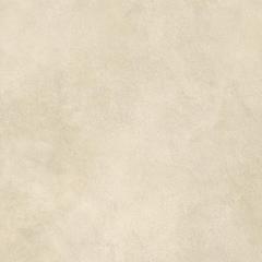 Boost Expression Camel 60x60  