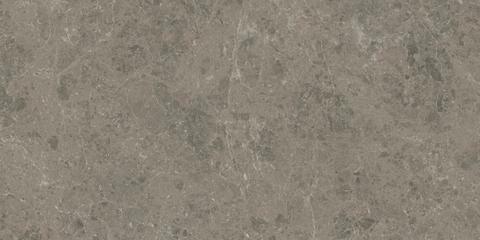 Marvel Meraviglia Grigio Elegante 60x120 Velvet 