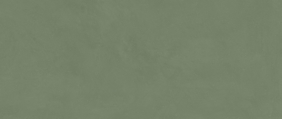 Vivia Crelis Deep Green 50x120 Lucido 