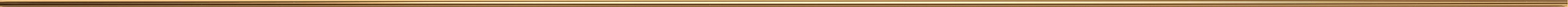 ACR Empire GoldMetal Listello 0,5x120 600100000041