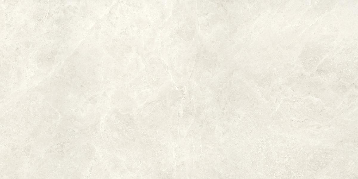 Compact Bone 60x120 Silk