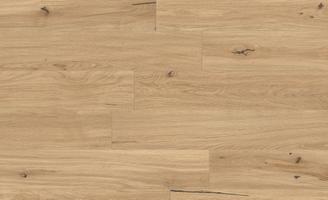LOG Icon Oak Forest 20x120  