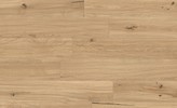 LOG Icon Oak Forest 20x120  