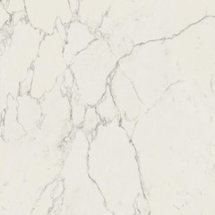 Marvel Calacatta Extra 120x120