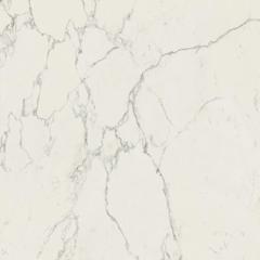 Marvel Calacatta Extra 120x120