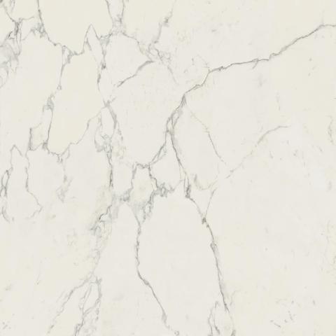 Marvel Calacatta Extra 120x120