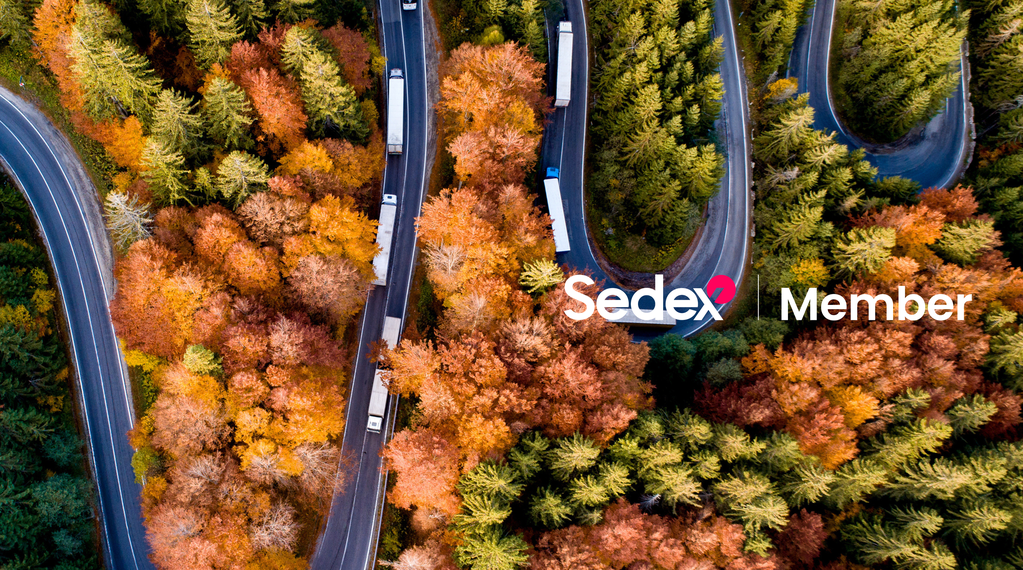 SEDEX cover sustainability