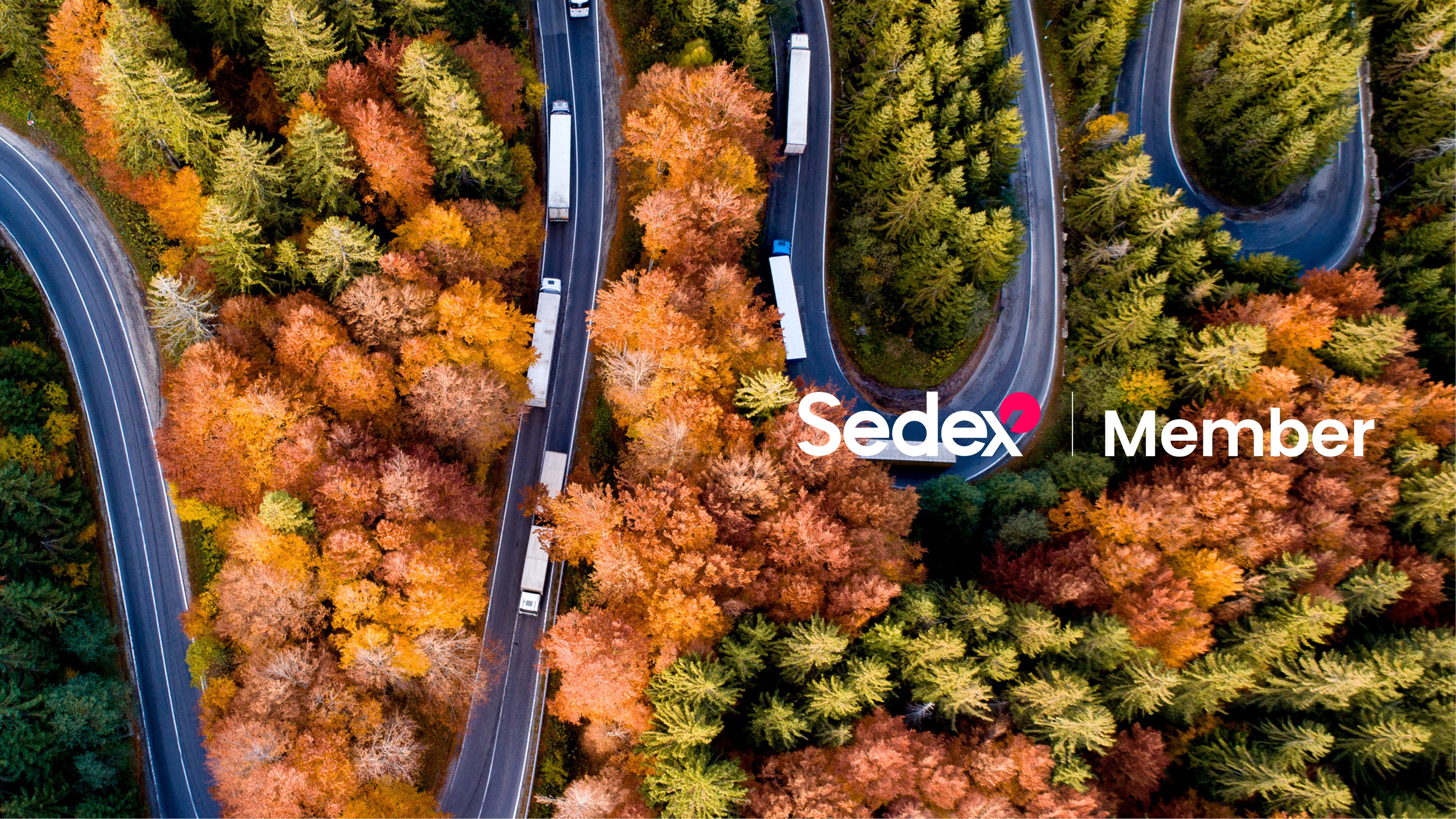 SEDEX cover sustainability