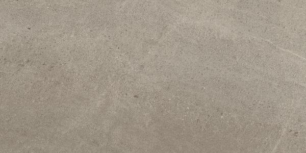 Wise Silver Grey 60x120 Lap
