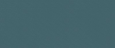 Boost Color Navy Frog 50×120