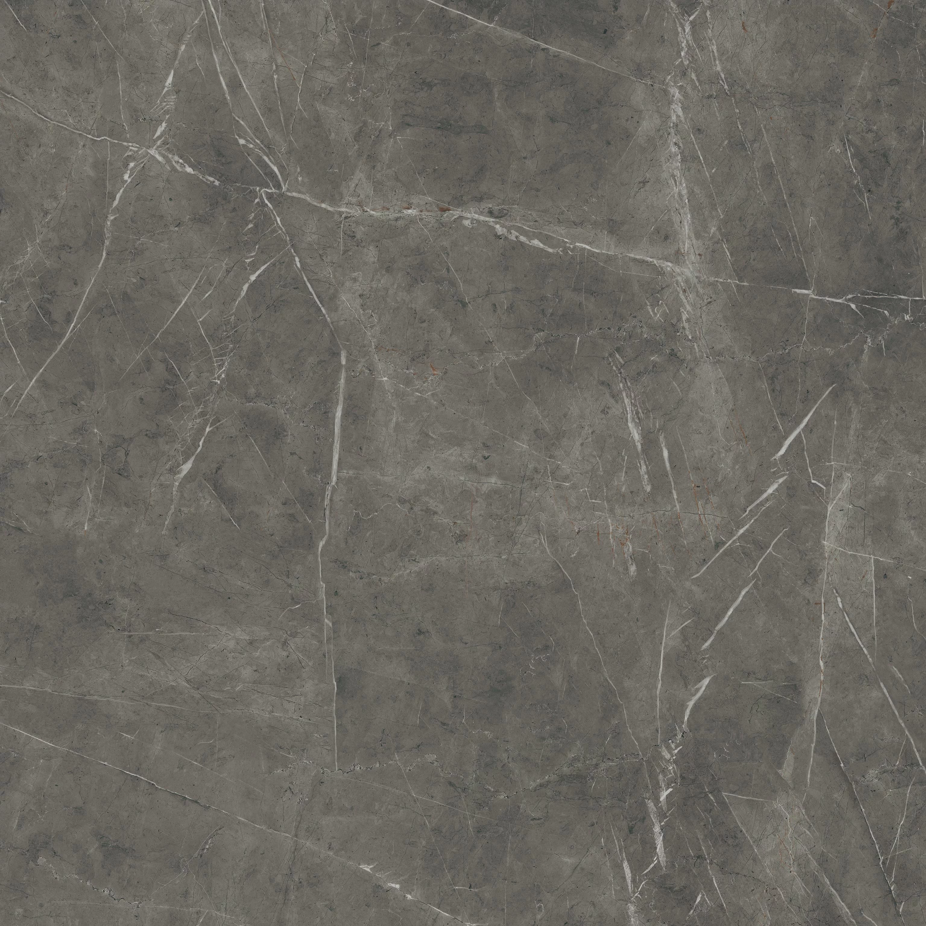 AtlasConcorde Marvel Grey-Stone 120x120 Matte AEQY 1