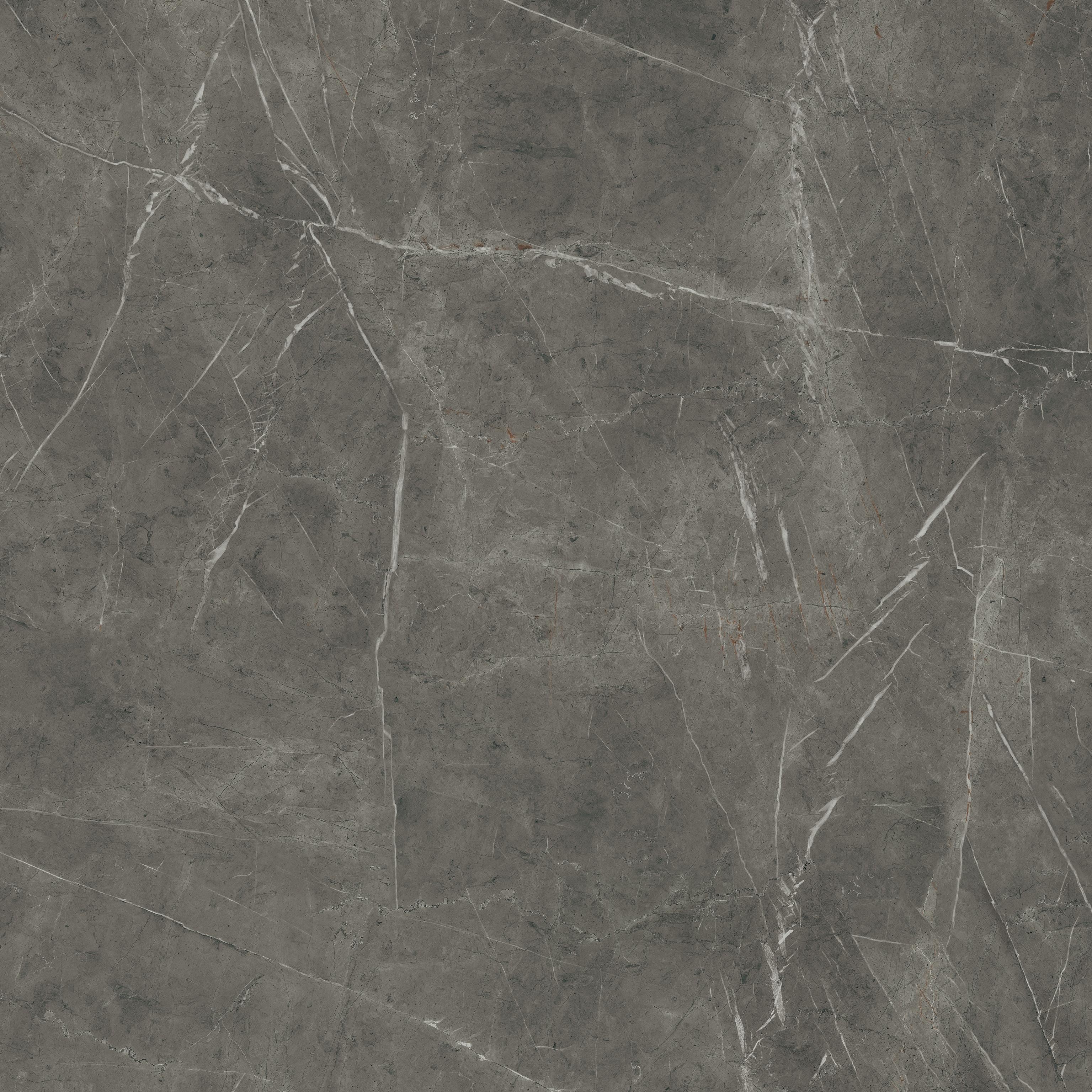 AtlasConcorde Marvel Grey-Stone 120x120 Matte AEQY 1
