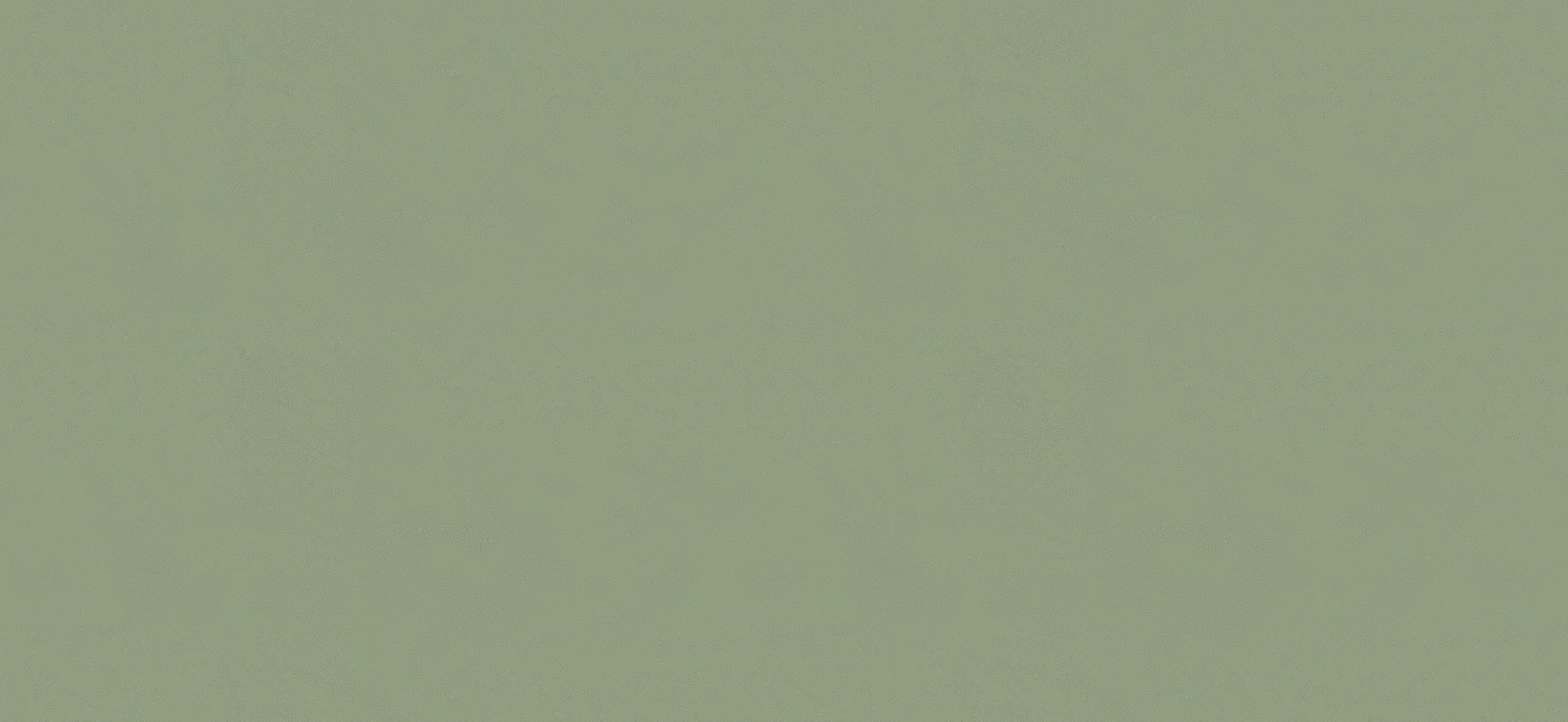 Vivia Crelis Light Green 120x278 Lappato, Verde, 120x278