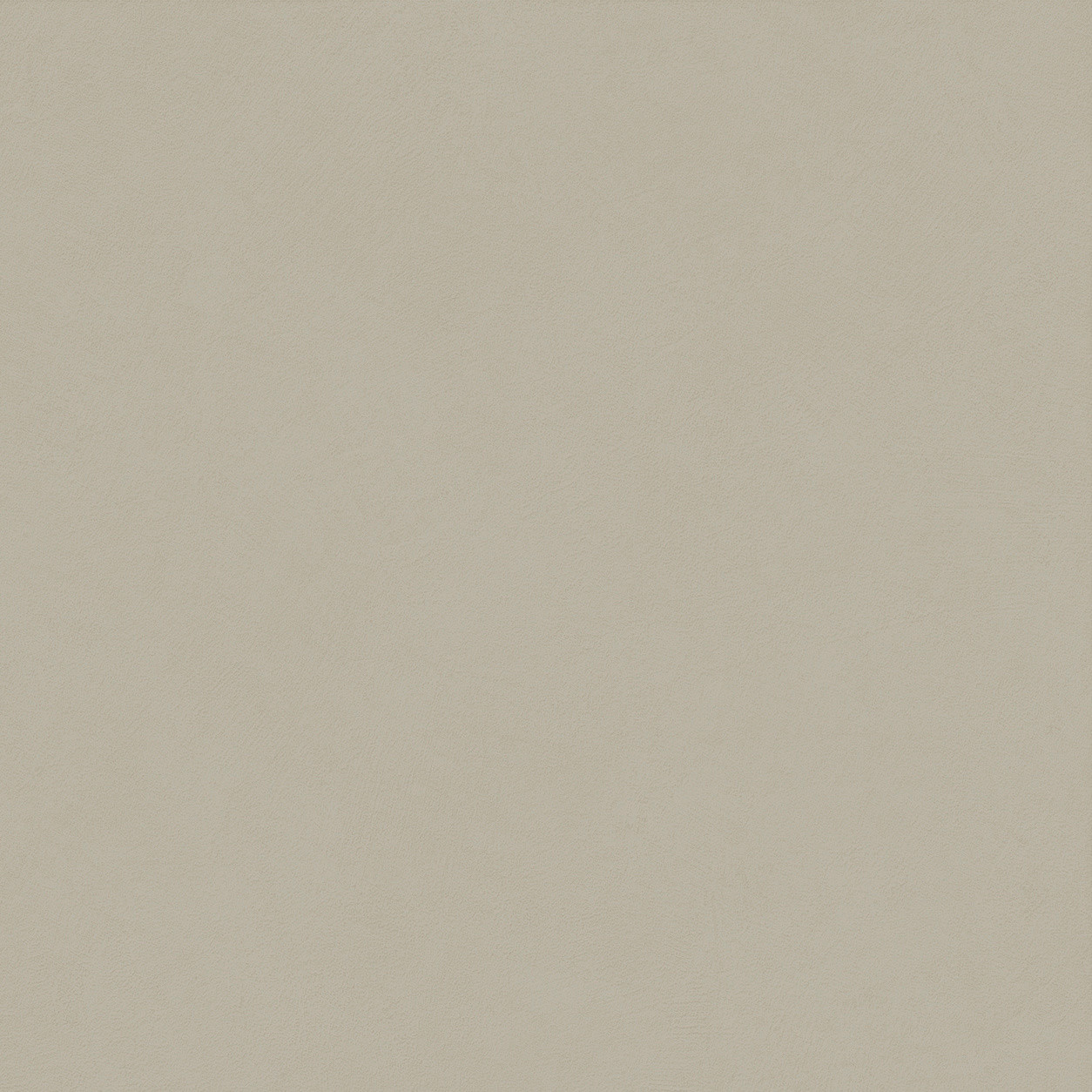Boost Natural Pro Dove 80×80