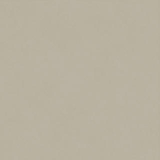 Boost Natural Pro Dove 80x80  