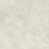 BOOST ICOR Bone 80x80  