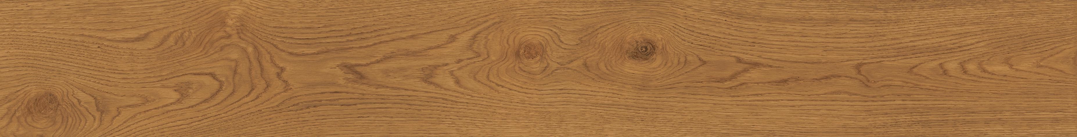 Exence Amber 18,5×150