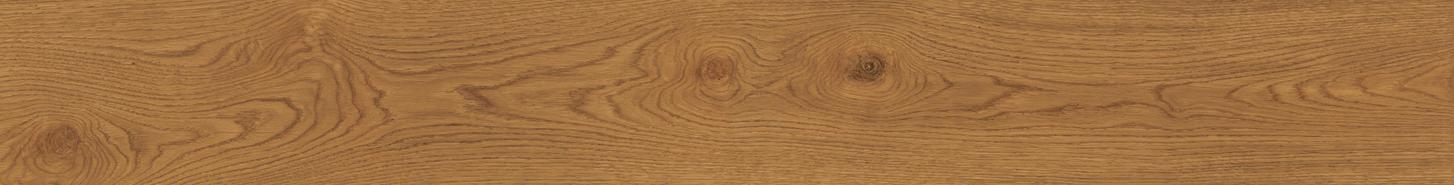 EXENCE Amber 18,5x150