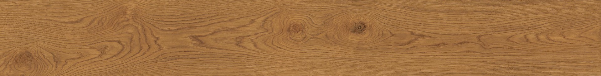 EXENCE Amber 18,5x150