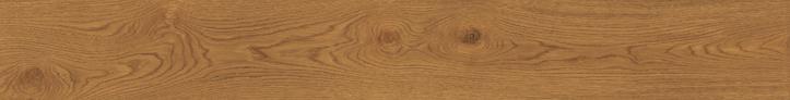 EXENCE Amber 18,5x150