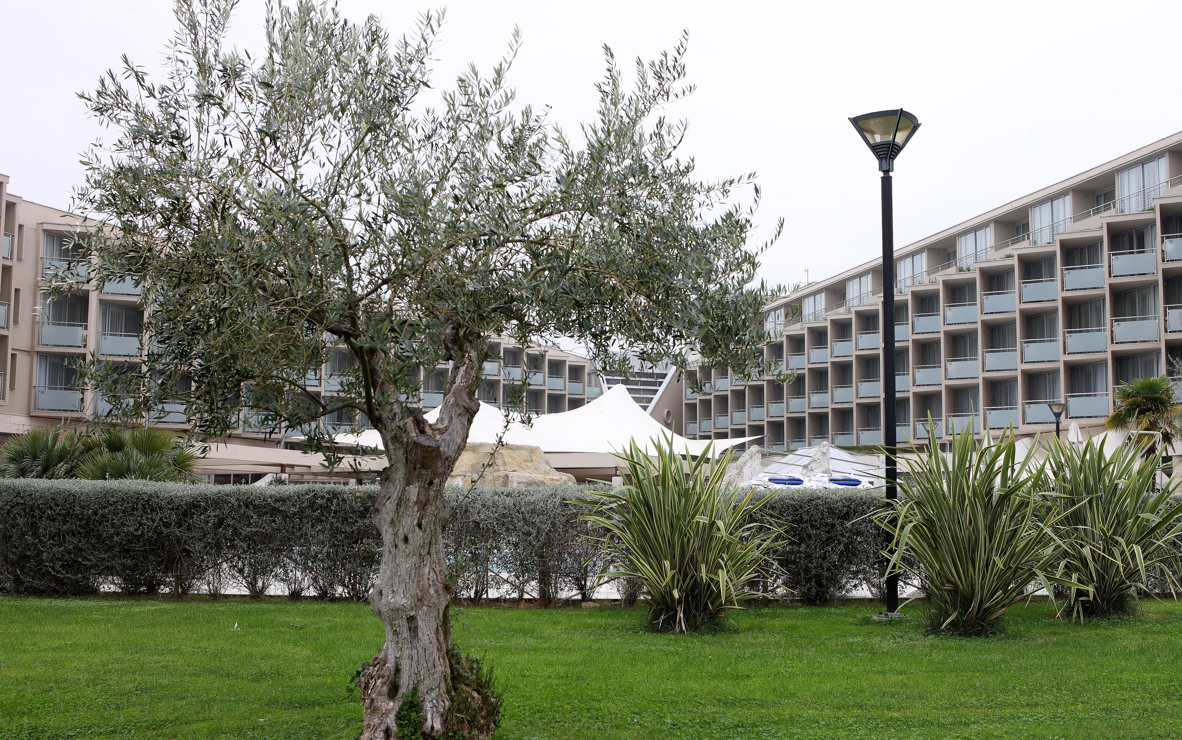 AtlasConcorde_Hotel Maestral_Croazia_050