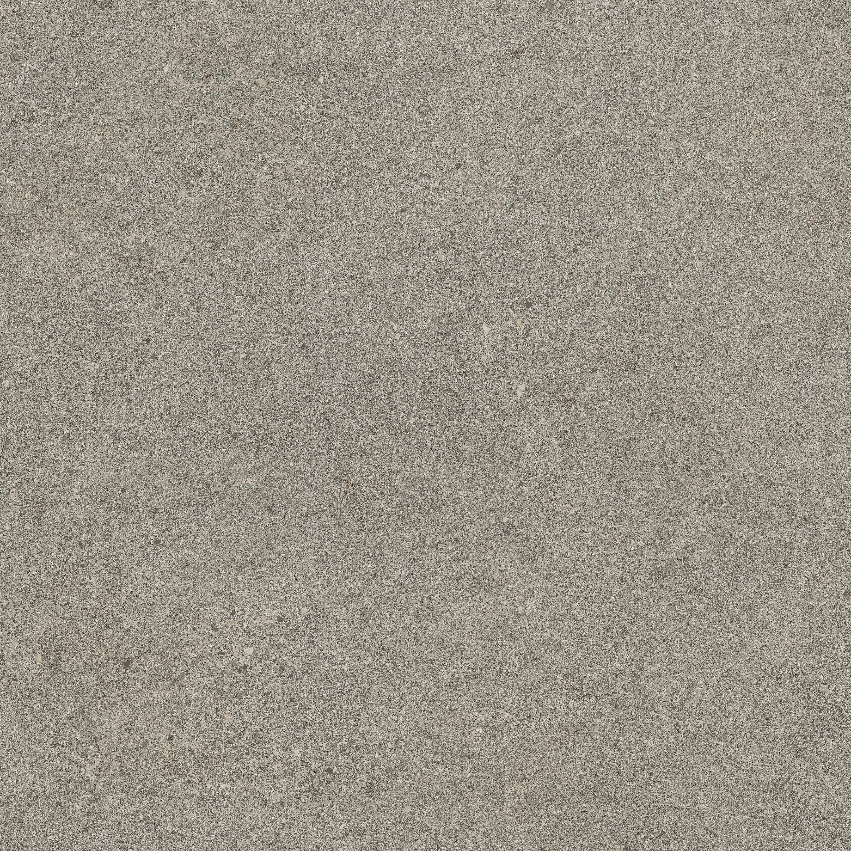 Forte dei Marmi Rock Lunar Grey 60x60 Структурированный, Серый, 60x60