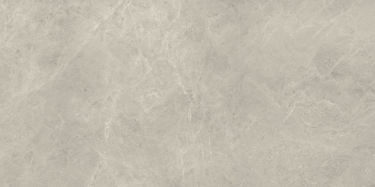 Compact Fossil 60x120 Silk