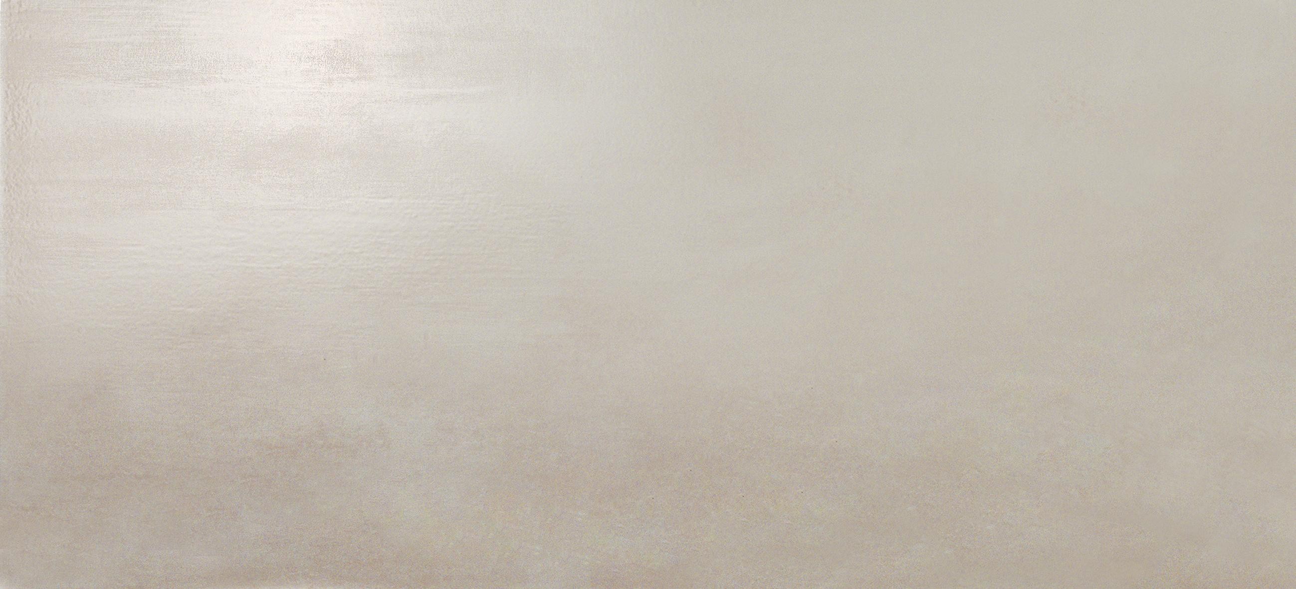 AtlasConcorde Dwell Silver 50x110 Matte 4D1V