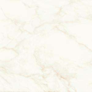 MARVEL Calacatta Delicato 60x60 Silk