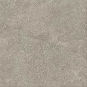 DUOLITH FOSSIL 60x60  - 20mm 