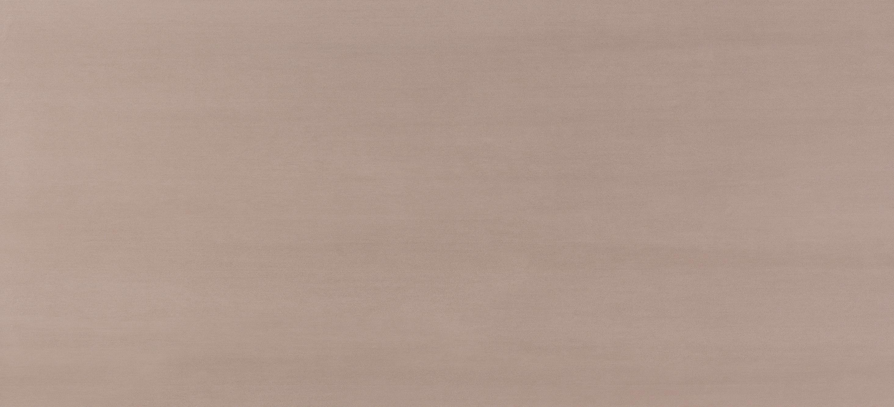 AtlasConcorde Mek Rose 50x110 Matt 4MKR
