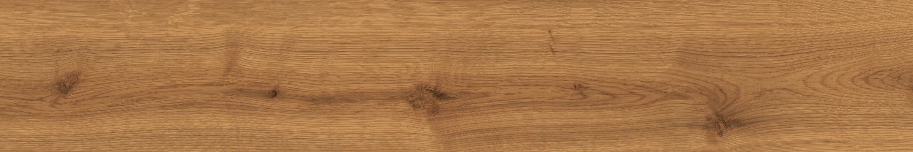 Exence Amber 20×120