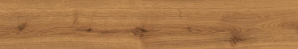 EXENCE Amber 20X120