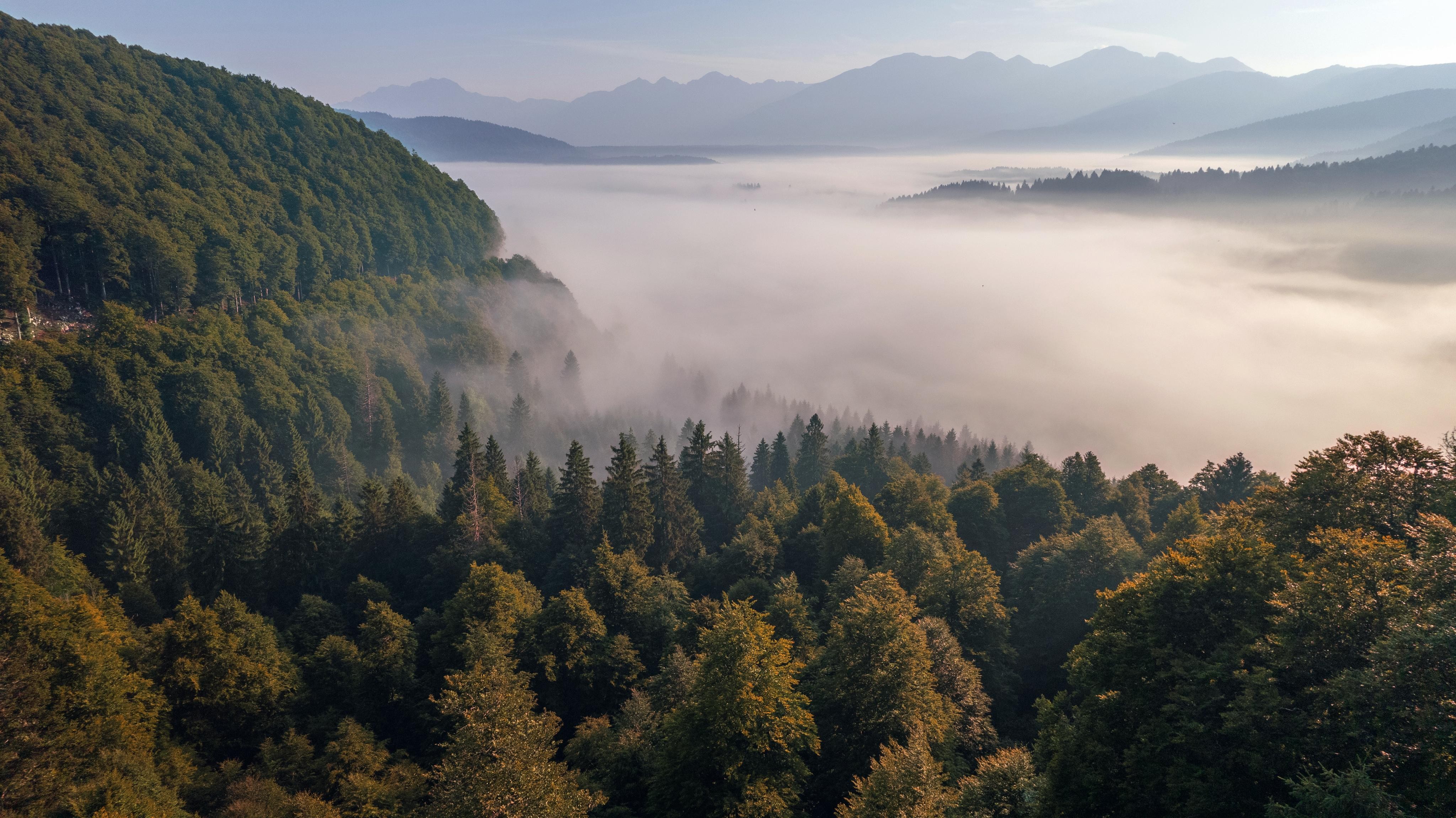 AtlasConcorde_LogWorld_M001_01