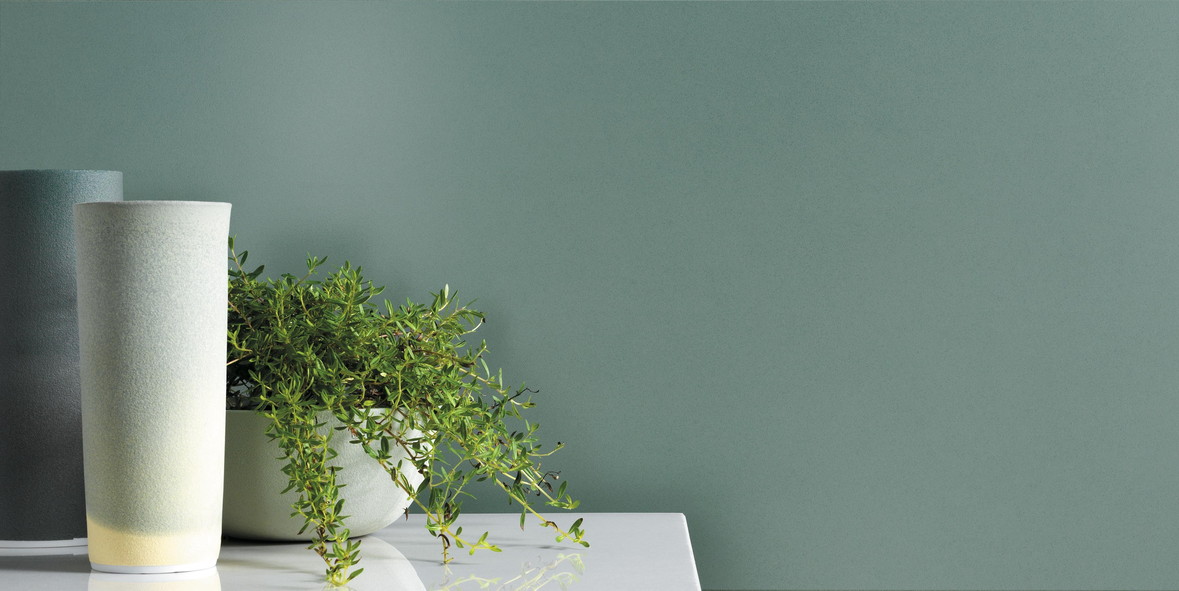 Sage 40x80