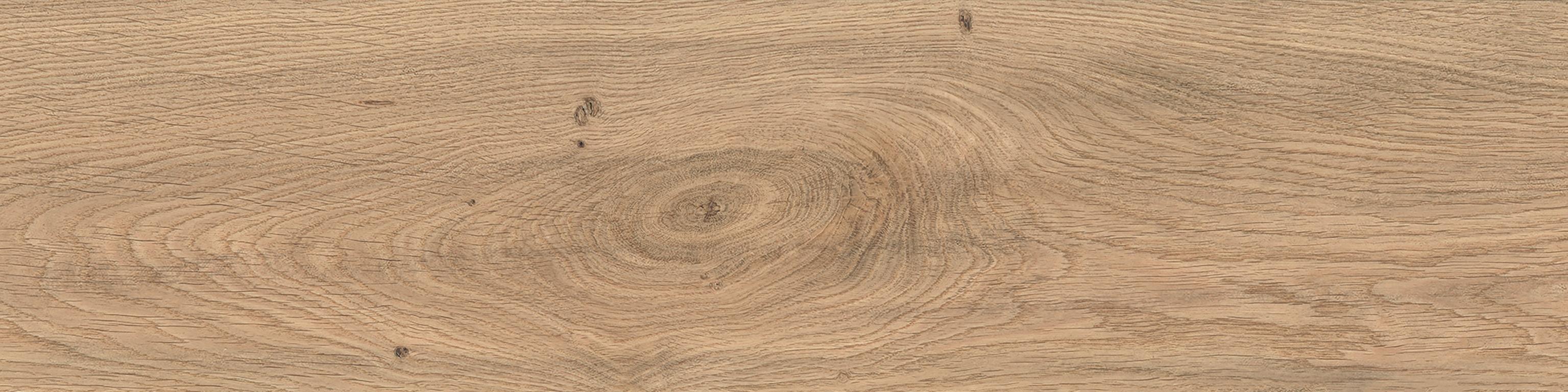 Log Icon Oak 30x120 Matte Sensitech, Jasnobrązowy, 30x120