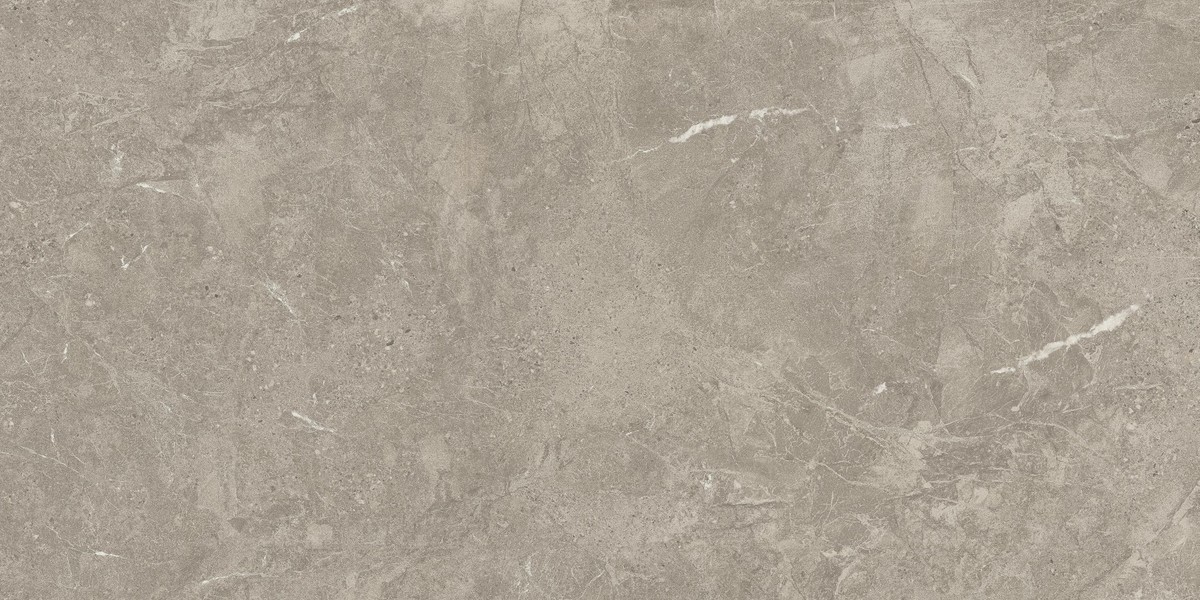 DUOLITH FOSSIL 60x120  