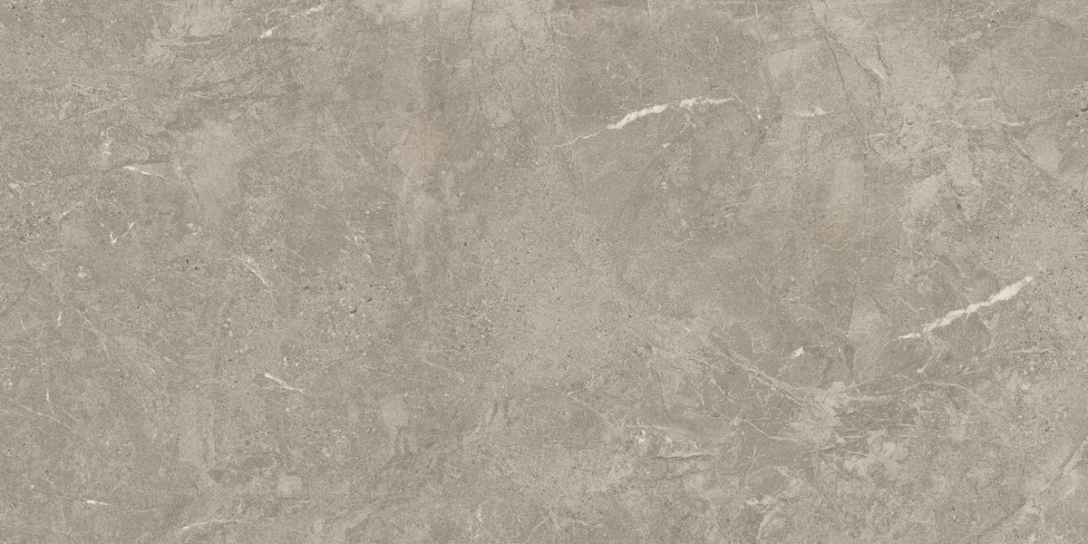 DUOLITH FOSSIL 60x120  