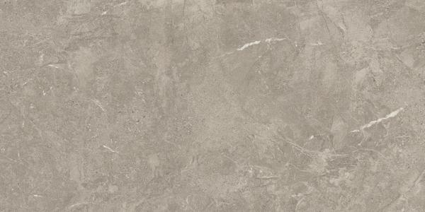 DUOLITH FOSSIL 60x120  