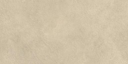 Boost Expression Tan 30x60  